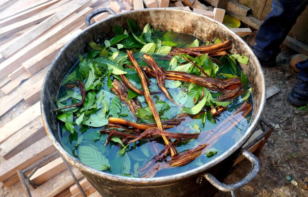 Ayahuasca – “Spirituality” with an Aftertaste of Addiction
