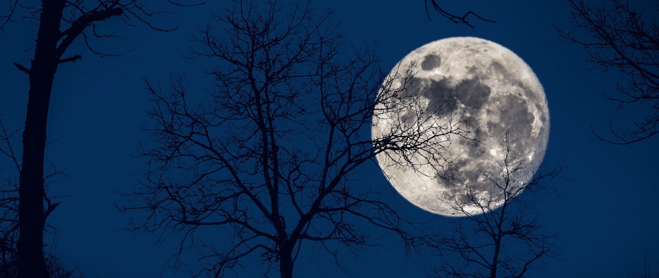 The Energy of the Full Moon: Light, Shadows, and Unseen Currents